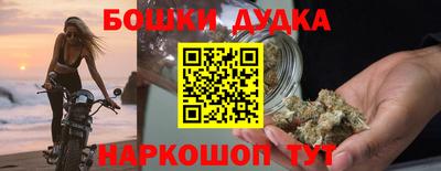 тгк Кингисепп