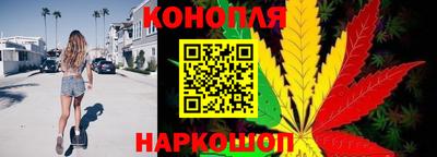гашик Кинель