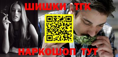 тгк Кингисепп