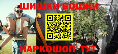 тгк Кингисепп