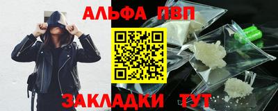 тгк Кингисепп
