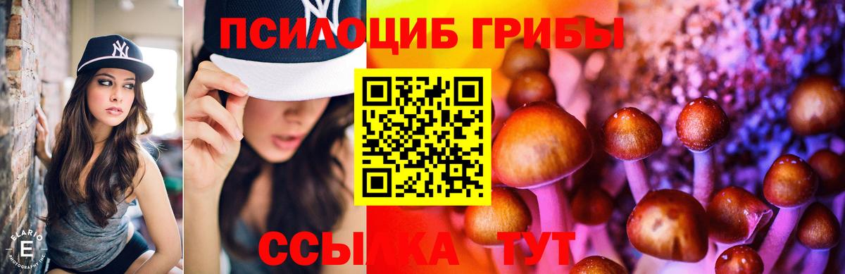 Конаково  Псилоцибиновые грибы Psilocybe  Вход с VPN 